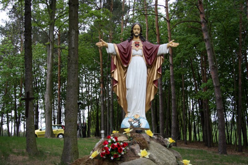 pielgrzymkamoszczonnesanktuariummbbolesnej06052012r79.jpg